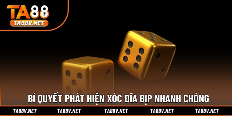 Bí quyết phát hiện xóc đĩa bịp nhanh chóng