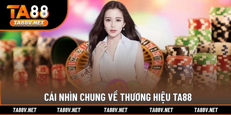 Cái nhìn chung về thương hiệu TA88