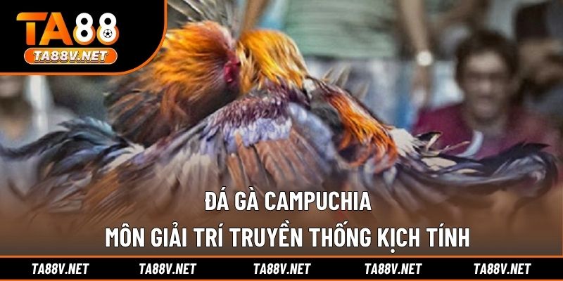 Đá Gà Campuchia