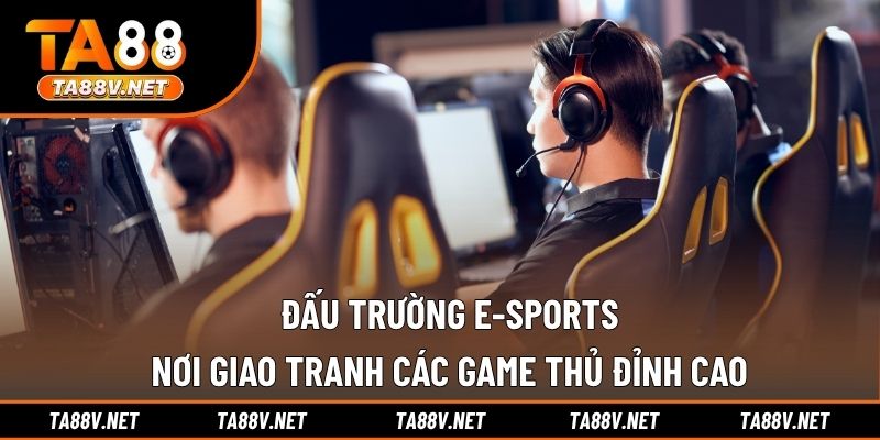 Đấu Trường E-sports