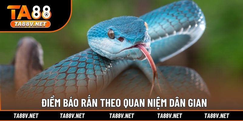 Điềm báo rắn theo quan niệm dân gian