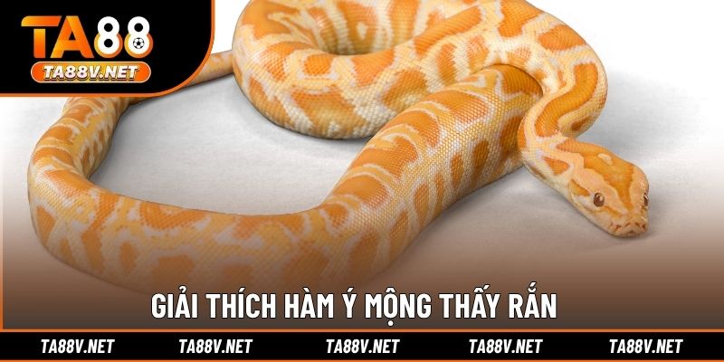 Giải thích hàm ý mộng thấy rắn