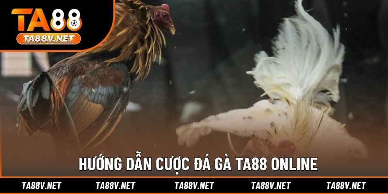 Hướng dẫn cược đá gà TA88 online