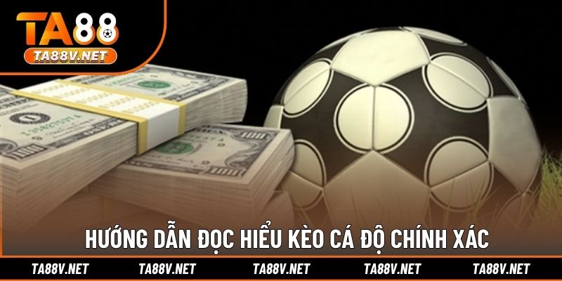 Hướng dẫn đọc hiểu kèo cá độ chính xác