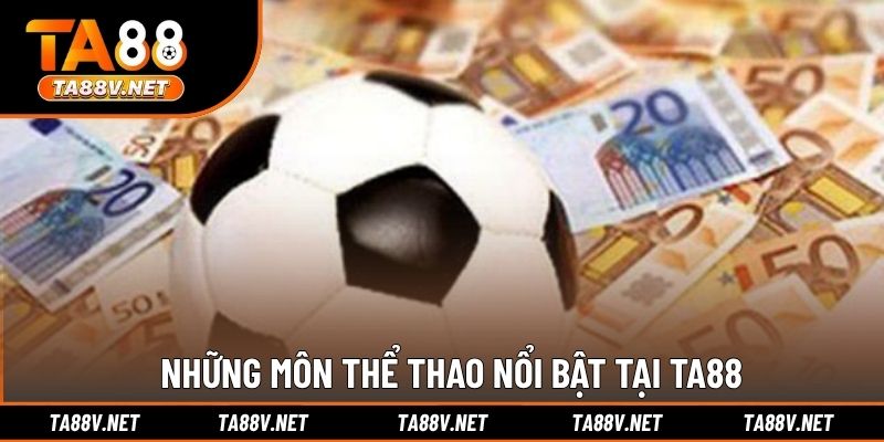 Những môn thể thao nổi bật tại TA88