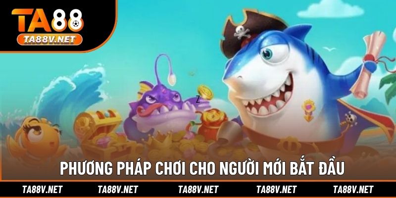 Phương pháp chơi cho người mới bắt đầu