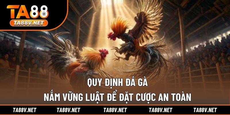 Quy Định Đá Gà