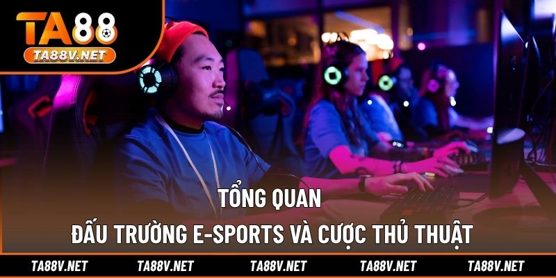 Tổng quan đấu trường E-sports và cược thủ thuật