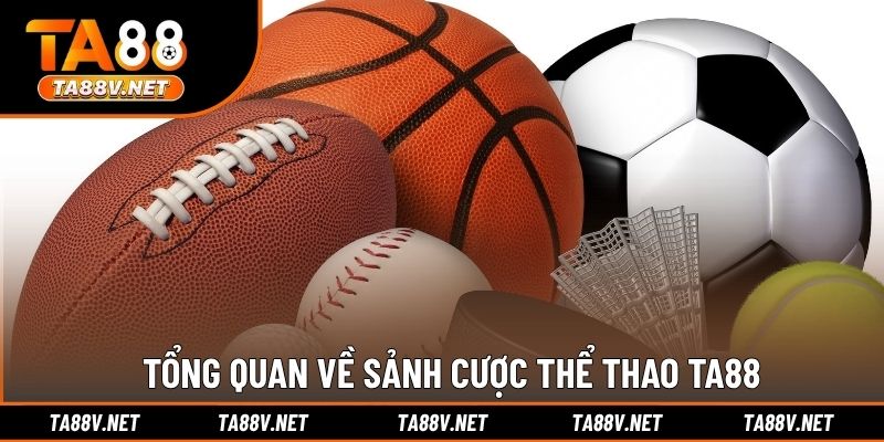 Tổng quan về sảnh cược thể thao TA88