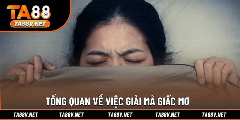 Tổng quan về việc giải mã giấc mơ